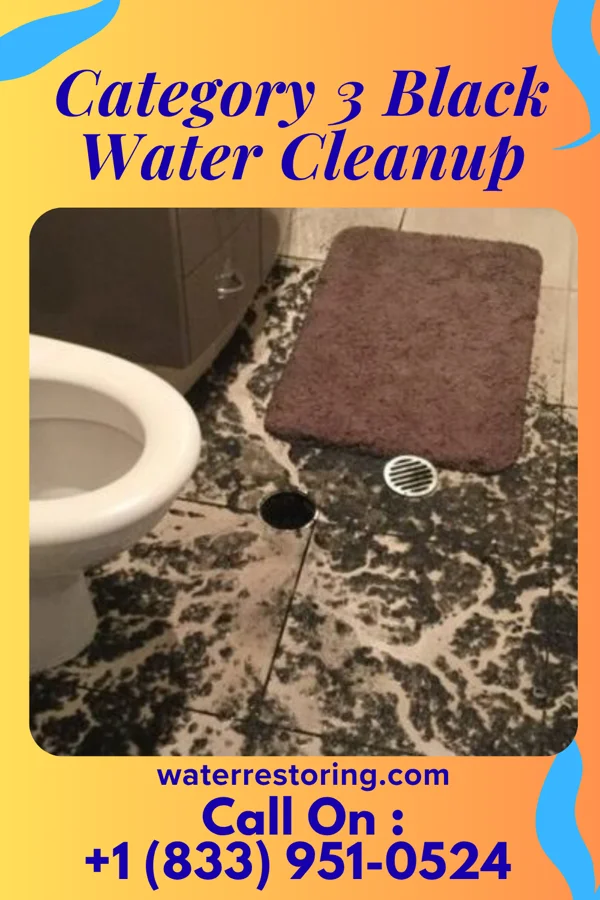 Category 3 Black Water Cleanup in Melrose, NM