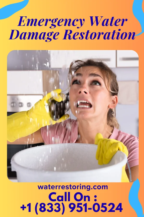 Emergency Water Damage Restoration in Melrose, NM