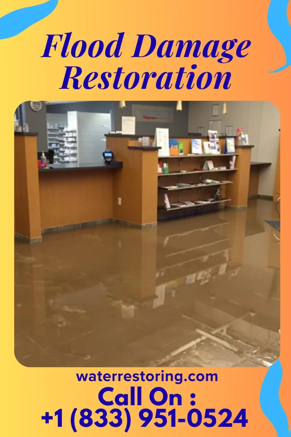 Flood Damage Restoration in Melrose, NM