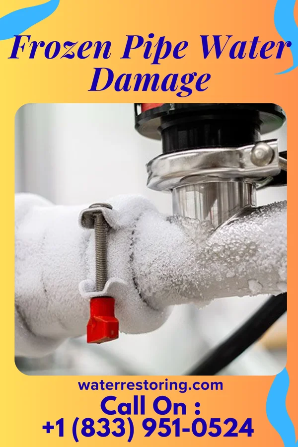 Frozen Pipe Water Damage in Melrose, NM