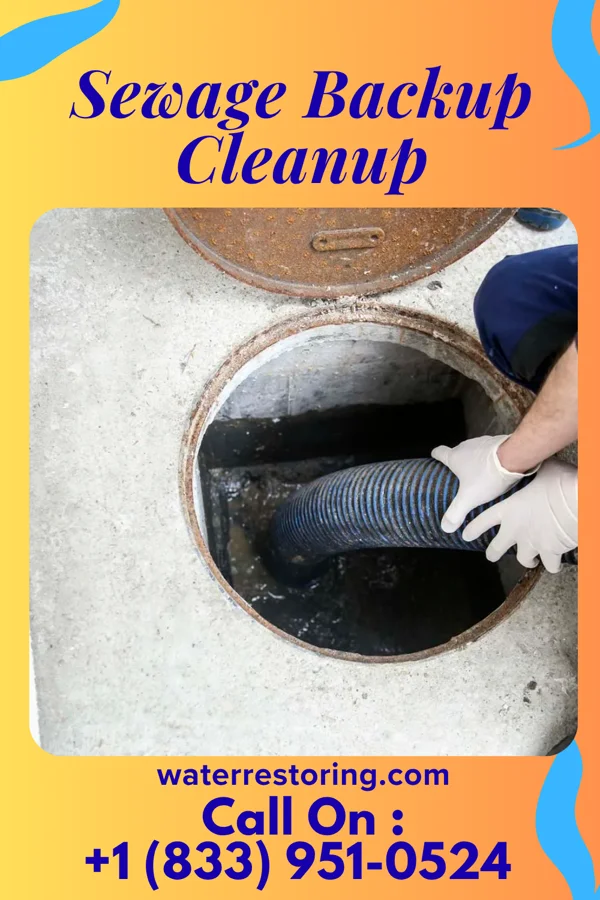 Sewage Backup Cleanup in Melrose, NM